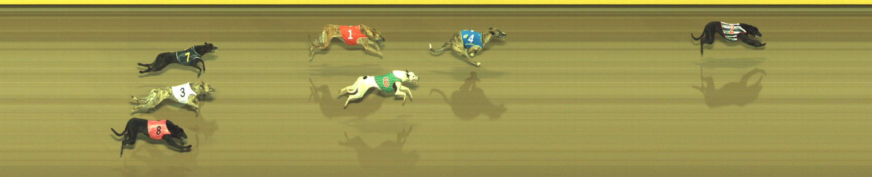 Race result finish photo